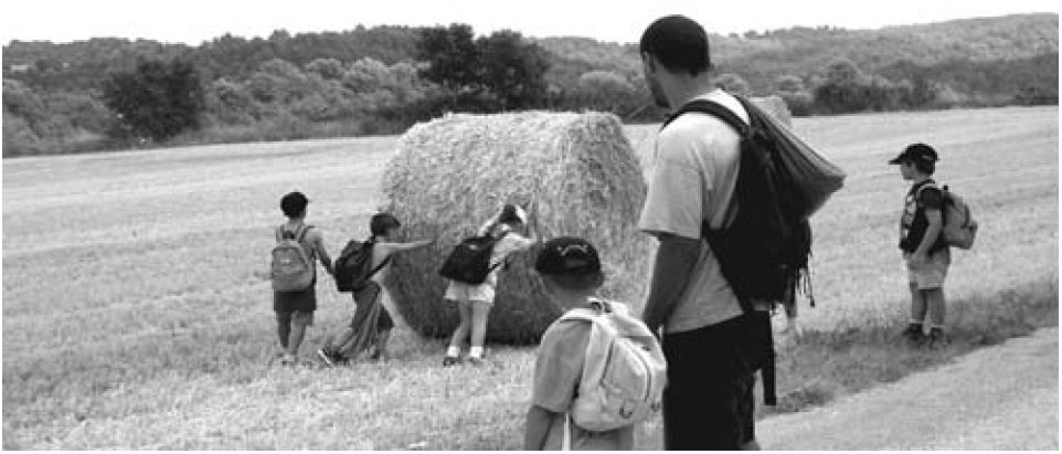 Nens i adult en camp de cereals
